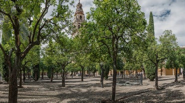 Cordova - city in Spain