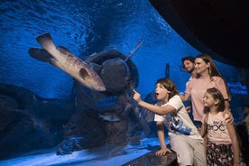 安塔利亚水族馆半日游和蜡像馆