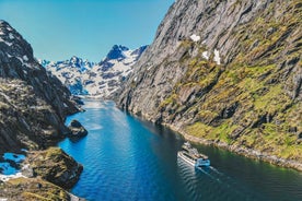 From Svolvær: Lofoten Islands Silent Trollfjord Cruise