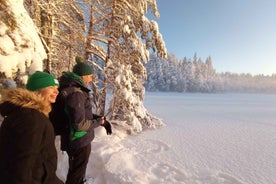 From Helsinki: Nuuksio National Park Hiking Tour with Food