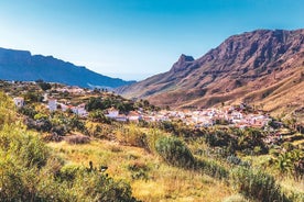 Tour di Gran Canaria di un'intera giornata con Teror, Tejeda e pranzo a Fataga