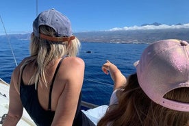 Iate à vela em um charter privado