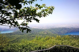 Nemi with its strawberries and the Via Sacra (Holy Path). Tour in the woods