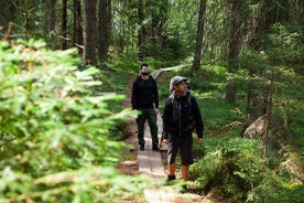 Magische Taiga-boswandeling met lunch en vervoer