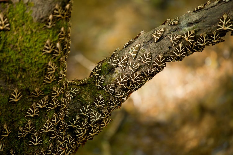 shutterstock_445708882 (1).jpg