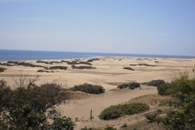 Excursão de dia inteiro pela ilha saindo de Las Palmas