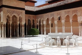 Tour dell'Alhambra da Marbella o Malaga