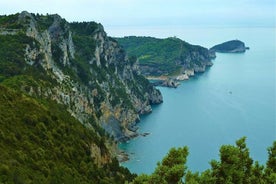 Excursión de medio día en grupo pequeño a Portovenere con guía local