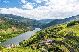 Excursión de un día a Duero