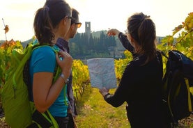 Caminata privada y experiencias de vino en Chianti.