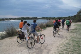 Valencia: Radtour „Straße nach La Albufera“.