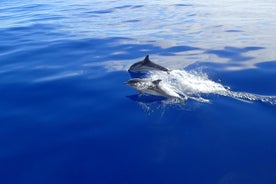 Sortie en voilier à Naxos