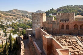 Visite guidée exclusive de l'Alhambra et des palais nasrides (coupe-file)