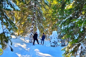 From Cluj: Winter Walking Trip on the Great Mountain