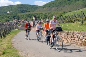 Tour privato in bici dei vigneti e dei villaggi vinicoli dell'Alsazia