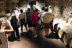 Tour privato del vino Castello Mimi con degustazione