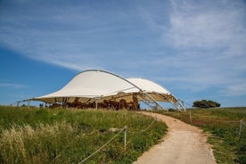 Private Tour in Malta Prehistoric Temples & Mdina