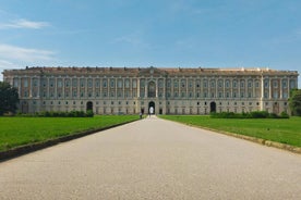 Excursão privada de dia inteiro ao Palácio Real de Caserta e Pompéia