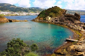 Baleias e Golfinhos + Ilhéu de Vila Franca (dia inteiro com almoço)