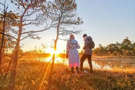 Riga Bog Shoe Tour in Kemeri National Park with a Picnic