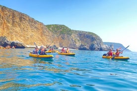 Tour de kayak de Lisboa (traslado y almuerzo)