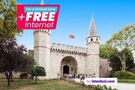 Istanbul: Topkapi Palace & Harem Tour Skip-the-Line Ticket