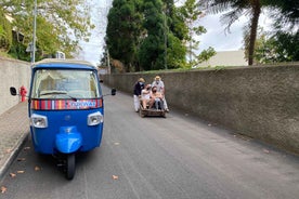 Funchal: Monte Tropical Garden & Toboggan Ride by Tuk Tuk