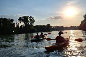 Självguidad kajaktur i Belgrad