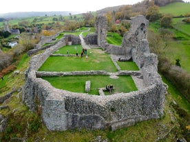 Montgomery Castle