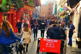 Excursão a pé privada em Dublin