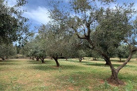 Kefalonia Farm Tour on Fatbikes (e-bikes)