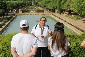 Tour a piedi di Cordoba in profondità