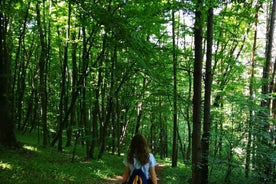 Belgrade: Kosutnjak forest hiking tour