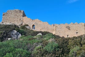 Tour Deluxe di Rodi che include Lindos, centro storico e degustazione di vini