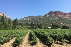 Hálfs dags vínferð í Bandol & Cassis frá Aix en Provence