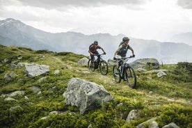 Electric mountain bike ride and tasting at the summit in Chamonix