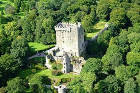 Excursion en bord de mer à Cork : visite de Cork, avec Kinsale et le château de Blarney