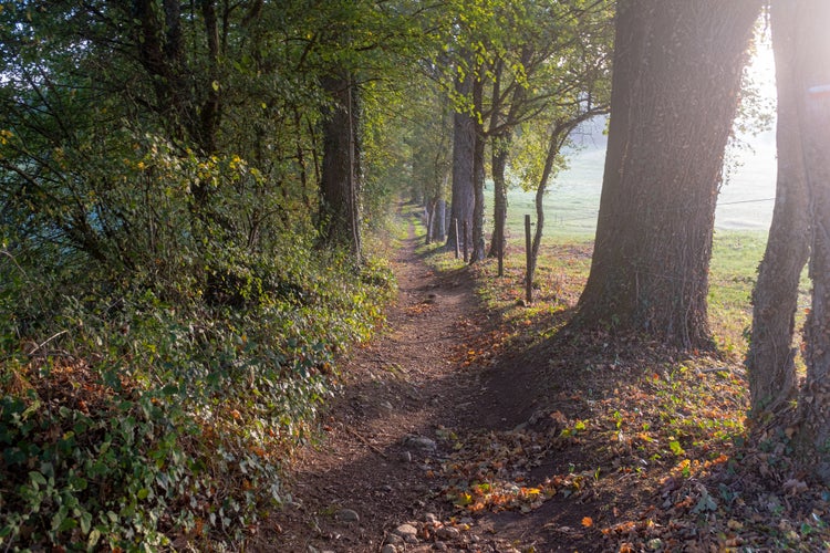 photo off view of Photo of the Camino de Santiago trail near Figeac in France, taken on an autumn misty morning with no people