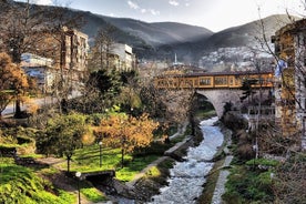 Full-Day Istanbul to Bursa Excursion With Cable Car