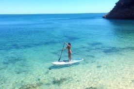 Stand Up Paddle i Marine Sanctuary