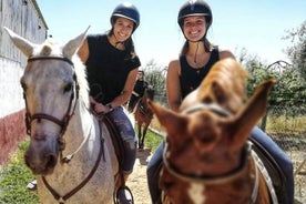 Tour a caballo por Granada y Sierra Nevada