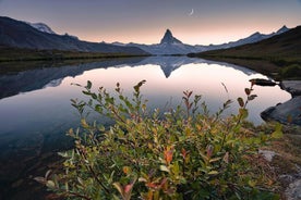 Trasferimento diretto privato da Basilea a Zermatt