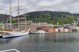 Tour Grupal a Pie en la Ciudad de Bergen