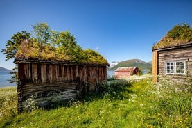 Arctische landschappen met kleine groepen Sightseeing - met burgerwetenschap - uit Tromso