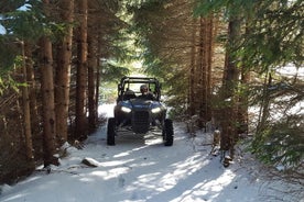 2 ore di superba avventura privata in buggy