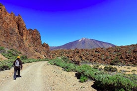 Private Full Day Tour to the Top of the Teide: go hiking and return in cable car