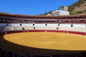  Malaga Stadium Arena Tour with Tickets