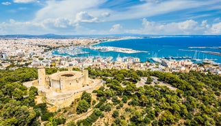 Photo of aerial view of La Seu, the gothic medieval cathedral of Palma de Mallorca in Spain.