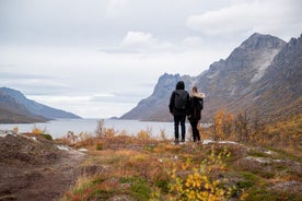 Arctic Roadtrip: Sommarøy með fallegum lautarferð Ⓥ | Lítill hópur 8 max | Skoðunarferðir