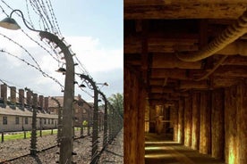 Auschwitz-Birkenau & Salt Mine Tour in One Day from Krakow